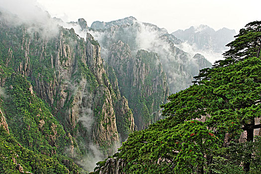 迷香水哪里可以弄到C1B8D97C5-18975